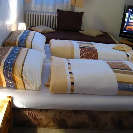 Hotel Slavia 2*