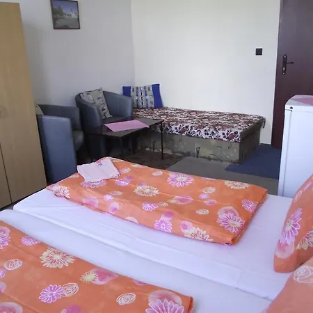 Hotel Slavia 2*